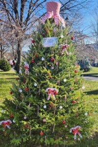Christmas in the park